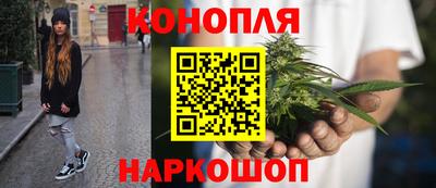 наркотики Кингисепп