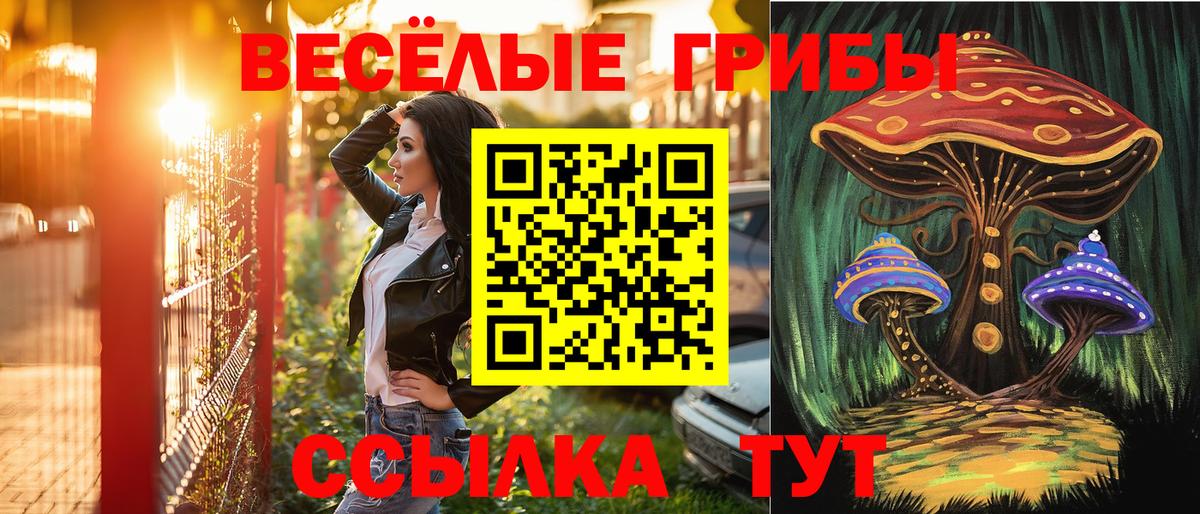 Псилоцибиновые грибы Cubensis Краснодар