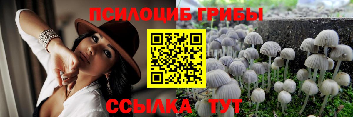 Псилоцибиновые грибы Magic Shrooms  Псилоцибиновые грибы мухоморы  Вход с VPN  Краснодар 